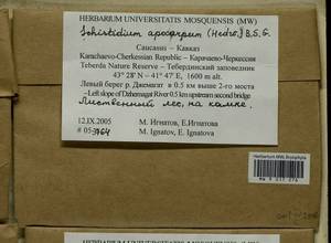 Schistidium apocarpum (Hedw.) Bruch & Schimp., Гербарий мохообразных, Мхи - Северный Кавказ и Предкавказье (B12) (Россия)