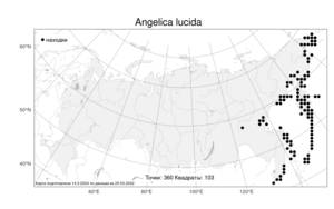Angelica lucida, Дудник блестящий L., Атлас флоры России (FLORUS) (Россия)