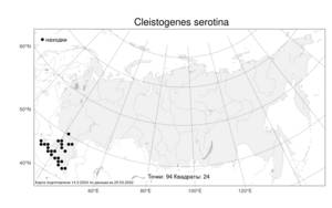 Cleistogenes serotina, Клейстогенес поздний (L.) Keng, Атлас флоры России (FLORUS) (Россия)