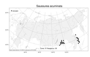 Saussurea acuminata, Соссюрея заостренная Turcz. ex Fisch. & C. A. Mey., Атлас флоры России (FLORUS) (Россия)