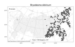 Bryodesma sibiricum (Milde) Soják, Атлас флоры России (FLORUS) (Россия)