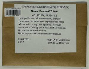 Mnium thomsonii Schimp., Гербарий мохообразных, Мхи - Архангельская и Вологодская области, Коми, Ненецкий АО (B7) (Россия)