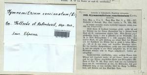 Gymnomitrion concinnatum (Lightf.) Corda, Гербарий мохообразных, Мхи - Западная Европа (BEu)