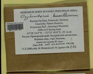 Glyphomitrium humillimum (Mitt.) Cardot, Гербарий мохообразных, Мхи - Дальний Восток (без Чукотки и Камчатки) (B20) (Россия)
