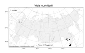 Viola muehldorfii, Фиалка Мюльдорфа Kiss, Атлас флоры России (FLORUS) (Россия)