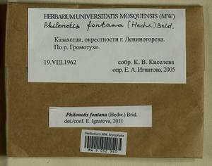 Philonotis fontana (Hedw.) Brid., Гербарий мохообразных, Мхи - Средняя Азия и Казахстан (B16) (Казахстан)