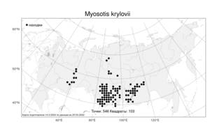 Myosotis krylovii, Незабудка Крылова Serg., Атлас флоры России (FLORUS) (Россия)