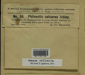 Philonotis calcarea (Bruch & Schimp.) Schimp., Гербарий мохообразных, Мхи - Западная Европа (BEu) (Чехия)