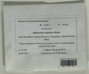 Didymodon rigidulus Hedw., Гербарий мохообразных, Мхи - Красноярский край, Тыва и Хакасия (B17) (Россия)