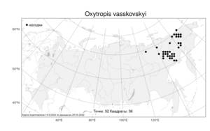 Oxytropis vasskovskyi, Остролодочник Васьковского Jurtzev, Атлас флоры России (FLORUS) (Россия)