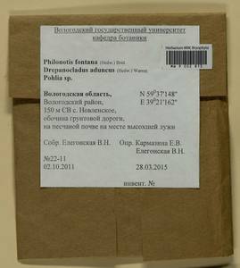 Philonotis fontana (Hedw.) Brid., Гербарий мохообразных, Мхи - Архангельская и Вологодская области, Коми, Ненецкий АО (B7) (Россия)