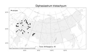 Diphasiastrum tristachyum, Дифазиаструм трехколосковый (Pursh) Holub, Атлас флоры России (FLORUS) (Россия)