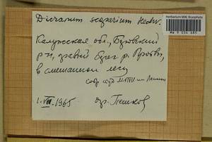 Dicranum scoparium Hedw., Гербарий мохообразных, Мхи - Центральное Нечерноземье (B6) (Россия)