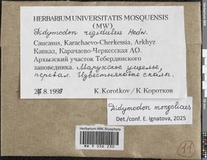 Didymodon mongolicus D.P. Zhao & T.R. Zhang, Гербарий мохообразных, Мхи - Северный Кавказ и Предкавказье (B12) (Россия)