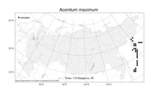 Aconitum maximum, Борец большой Pall. ex DC., Атлас флоры России (FLORUS) (Россия)