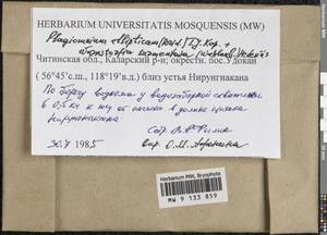 Plagiomnium ellipticum (Brid.) T.J. Kop., Гербарий мохообразных, Мхи - Прибайкалье и Забайкалье (B18) (Россия)