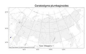 Ceratostigma plumbaginoides Bunge, Атлас флоры России (FLORUS) (Россия)