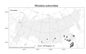 Woodsia subcordata, Вудсия полусердцевидная Turcz., Атлас флоры России (FLORUS) (Россия)