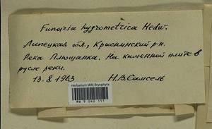 Funaria hygrometrica Hedw., Гербарий мохообразных, Мхи - Центральное Черноземье (B10) (Россия)