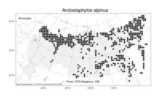 Arctostaphylos alpinus, Толокнянка альпийская (L.) Spreng., Атлас флоры России (FLORUS) (Россия)