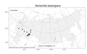 Alchemilla lessingiana, Манжетка Лессинга Juz., Атлас флоры России (FLORUS) (Россия)