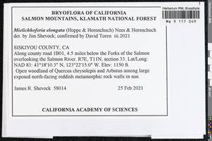 Mielichhoferia elongata (Hoppe & Hornsch. ex Hook.) Hornsch., Гербарий мохообразных, Мхи - Америка (BAm) (США)