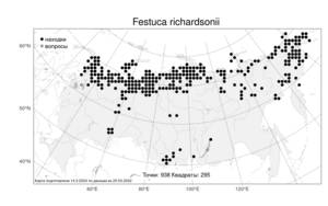 Festuca richardsonii, Овсяница Ричардсона Hook., Атлас флоры России (FLORUS) (Россия)