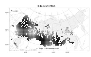 Rubus saxatilis, Костяника каменистая L., Атлас флоры России (FLORUS) (Россия)