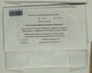 Orthotrichum scanicum Grönvall, Гербарий мохообразных, Мхи - Красноярский край, Тыва и Хакасия (B17) (Россия)