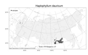 Haplophyllum dauricum, Цельнолистник даурский (L.) G. Don, Атлас флоры России (FLORUS) (Россия)