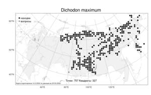 Dichodon maximum (L.) Á. Löve & D. Löve, Атлас флоры России (FLORUS) (Россия)