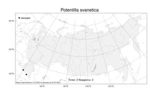 Potentilla svanetica, Potentilla radiata Lehm., Атлас флоры России (FLORUS) (Россия)
