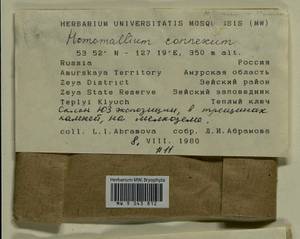 Homomallium connexum (Cardot) Broth., Гербарий мохообразных, Мхи - Дальний Восток (без Чукотки и Камчатки) (B20) (Россия)