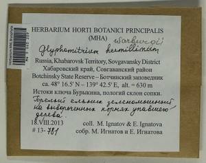 Glyphomitrium humillimum (Mitt.) Cardot, Гербарий мохообразных, Мхи - Дальний Восток (без Чукотки и Камчатки) (B20) (Россия)
