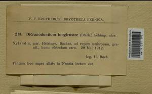 Dicranodontium denudatum (Brid.) E. Britton, Гербарий мохообразных, Мхи - Западная Европа (BEu) (Финляндия)