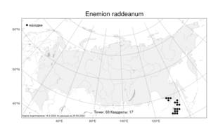 Enemion raddeanum, Энемион Радде Regel, Атлас флоры России (FLORUS) (Россия)