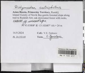 Didymodon calciphilus Ignatova & Ignatov, Гербарий мохообразных, Мхи - Дальний Восток (без Чукотки и Камчатки) (B20) (Россия)