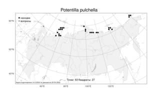 Potentilla pulchella, Лапчатка хорошенькая R. Br., Атлас флоры России (FLORUS) (Россия)
