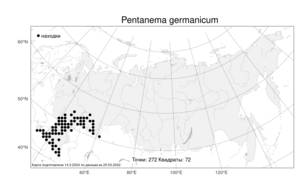 Pentanema germanicum (L.) D. Gut. Larr., Santos-Vicente, Anderb., E. Rico & M. M. Mart. Ort., Атлас флоры России (FLORUS) (Россия)