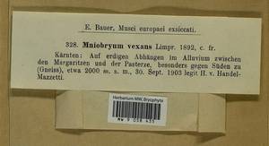 Pohlia vexans (Limpr.) H. Lindb., Гербарий мохообразных, Мхи - Западная Европа (BEu) (Австрия)