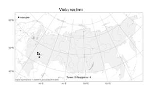 Viola vadimii, Фиалка высокая Fr., Атлас флоры России (FLORUS) (Россия)