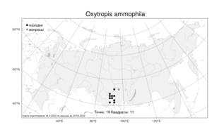 Oxytropis ammophila, Остролодочник песколюбивый Turcz., Атлас флоры России (FLORUS) (Россия)