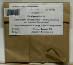 Encalypta alpina Sm., Гербарий мохообразных, Мхи - Красноярский край, Тыва и Хакасия (B17) (Россия)
