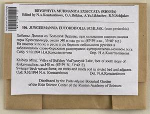 Jungermannia eucordifolia Schljakov, Гербарий мохообразных, Мхи - Карелия, Ленинградская и Мурманская области (B4) (Россия)