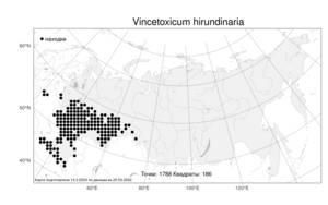 Vincetoxicum hirundinaria, Ластовень ласточкин Medik., Атлас флоры России (FLORUS) (Россия)