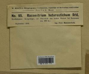 Bucklandiella heterosticha (Hedw.) Bedn.-Ochyra & Ochyra, Гербарий мохообразных, Мхи - Западная Европа (BEu) (Чехия)