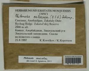 Philonotis seriata Mitt., Гербарий мохообразных, Мхи - Закавказье (B13) (Азербайджан)