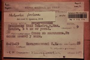 MW 9 110 774, Philonotis fontana (Hedw.) Brid., Гербарий мохообразных, Мхи - Архангельская и Вологодская области, Коми, Ненецкий АО (B7) (Россия)