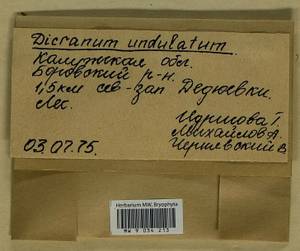 Dicranum polysetum Sw., Гербарий мохообразных, Мхи - Центральное Нечерноземье (B6) (Россия)