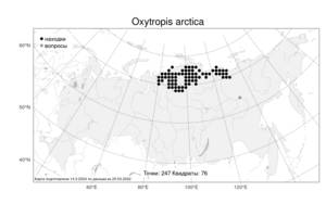 Oxytropis arctica, Остролодочник арктический R.Br., Атлас флоры России (FLORUS) (Россия)